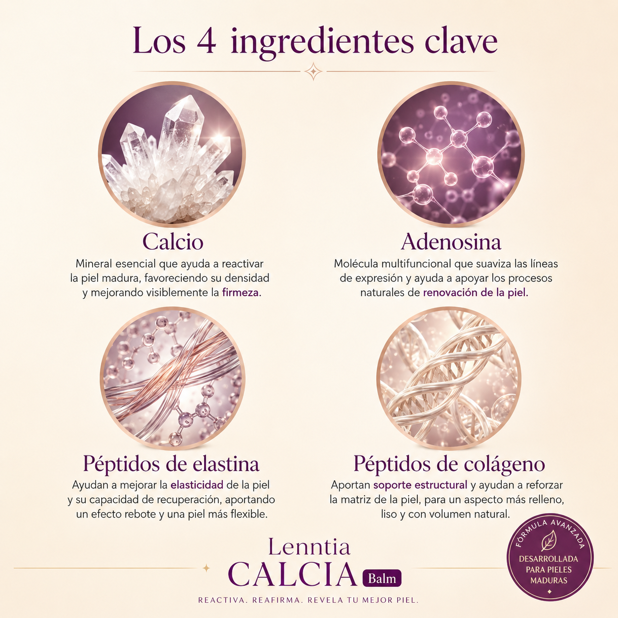 Ingredientes clave Lenntia CALCIA Balm